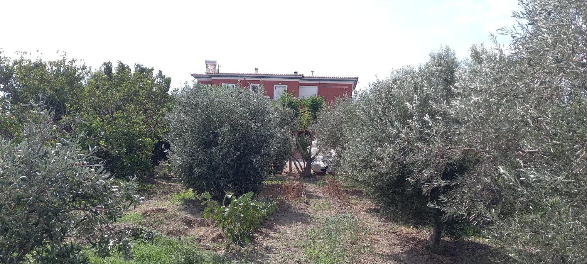 Ktima Develekou Appartement Pigadhia  Buitenkant foto