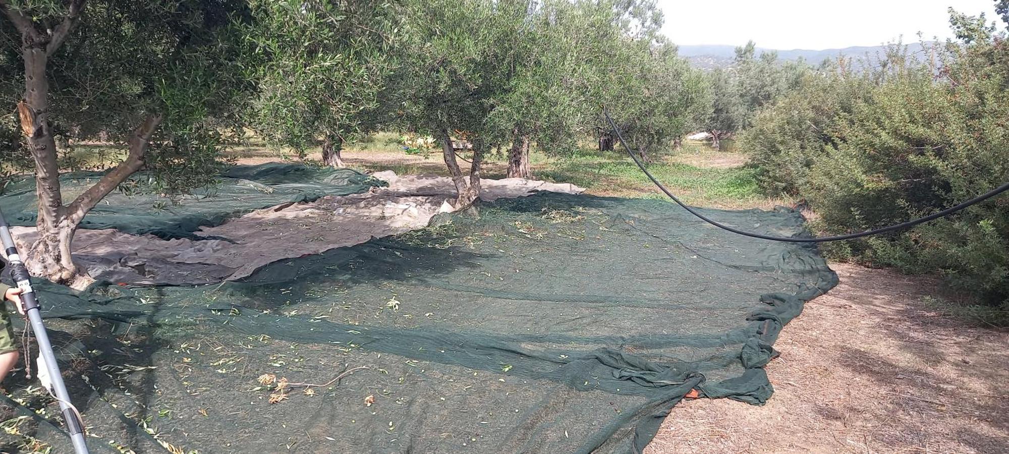 Ktima Develekou Appartement Pigadhia  Buitenkant foto